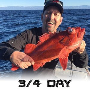 3/4 Day Trip – Island Fishing