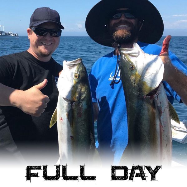 Full Day Trip – Hunting Pelagics